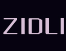 ZIDLI电竞生活馆